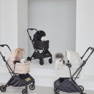 Royal Tails Gloria Standard