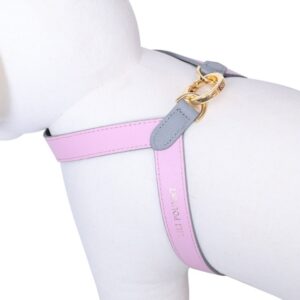 Lilipouent Harness Dual